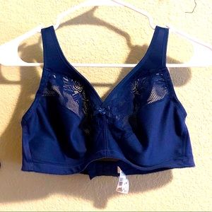 Blue Bra 38D